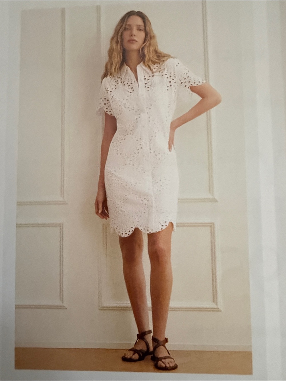 Cabi Eyelet Day Dress size Medium